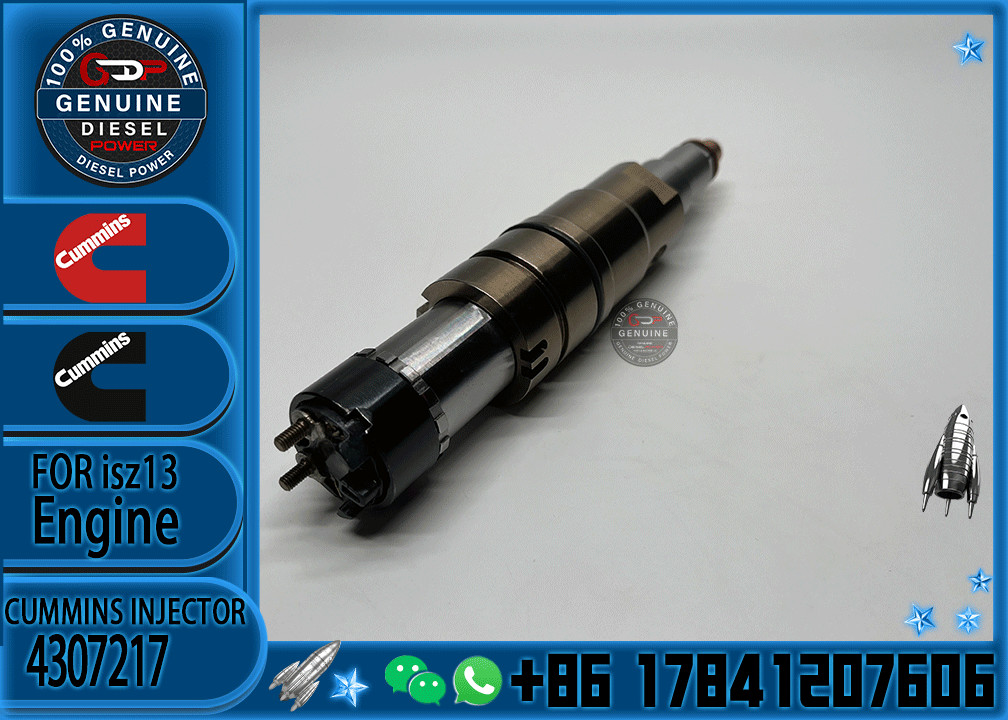 factory fuel injector assembly CRDI 2872544 2872405 2894920 4307217 5491721 4326959 for Cummins Scania XPI injector