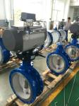butterfly valve with pneumatic actuator