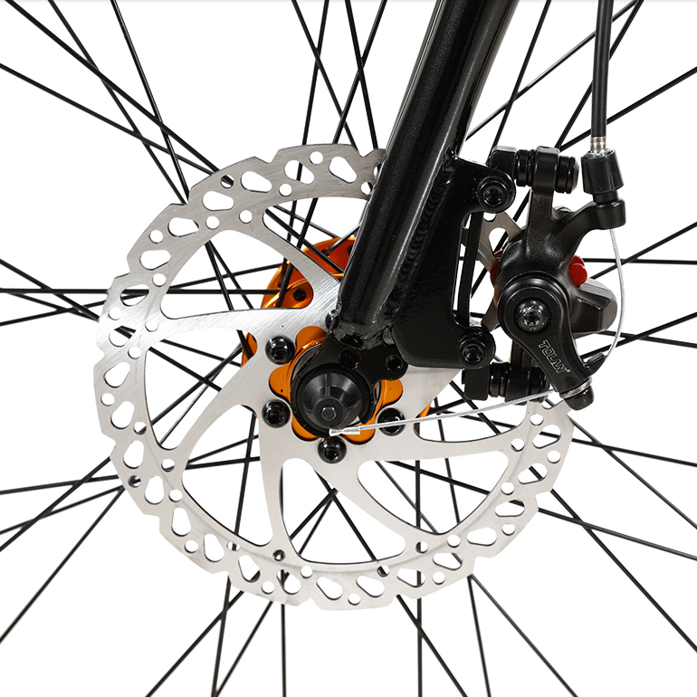 36v 10ah Electric City Bike Hub Motor Lithium Battery