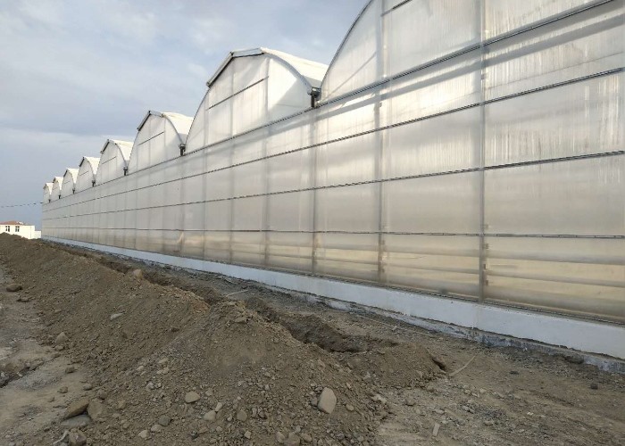 Agriculture Polycarbonate Sheet Greenhouse For Tomato Farming