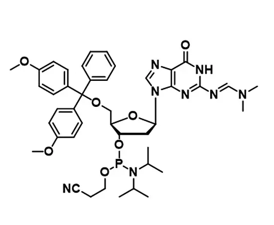 RNA DNA Synthesis Phosphoramidite 5g/bottle A G C T Phosphoramidites