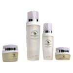 Custom Essence Oil Skin Care Cosmetic Glass Bottles and Jars 130ML 100ML 50ML