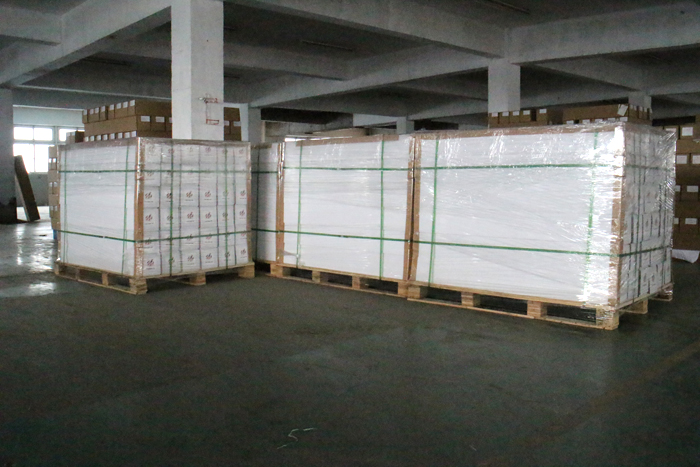 Permanent Glue Decorative Adhesive Vinyl , Waterbased Inkjet Adhesive Vinyl
