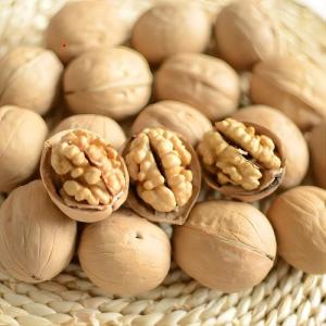 Quality Delicious Carpathian Walnuts The Ideal Ingredient for Your Content wholesale