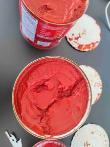 Quality 30 Calorie Steamed No BPA Canned Tomato Paste wholesale