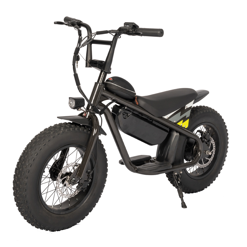 Aluminum Alloy Frame Kids Motorcycle Ebike 250W Motor 13Ah Battery High Safety Factor