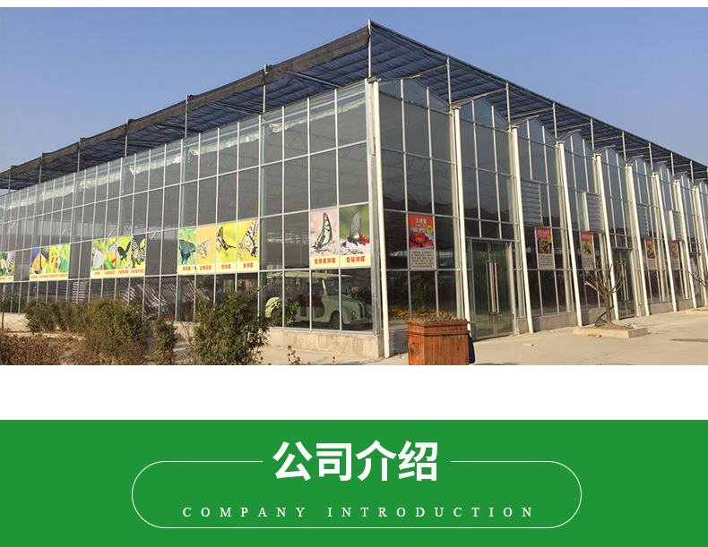 Large Glass Covered Garden Greenhouses for Versatile Planting Options