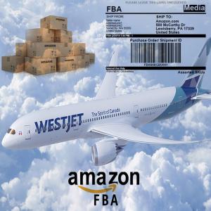 Quality Custom Clearance Included China To Europe DDP Air Shipping wholesale