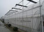 Plastic Film Vegetables Tomatoes Single Span Greenhouse