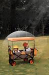 Weather Resistant Outdoor Wagon Cart 260KGS Capacity Outdoor Utility Wagon