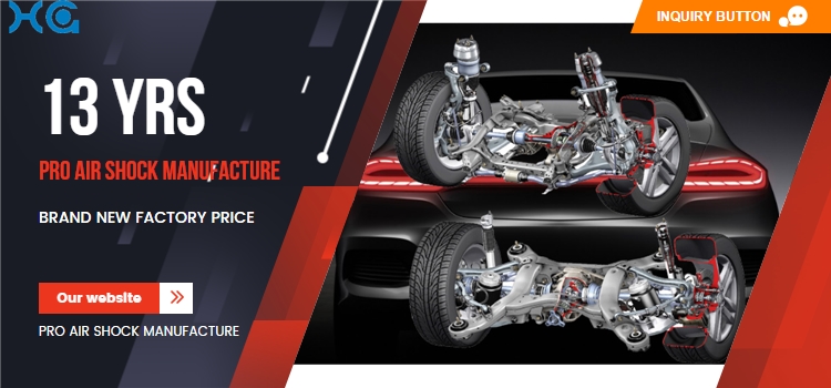 Airmatic Air Suspension systems car Shocks Absorber W220 Rear Air Shocks Absorbers 2203205013