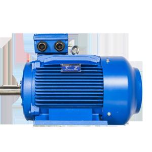 Quality IE2 three phase motor wholesale