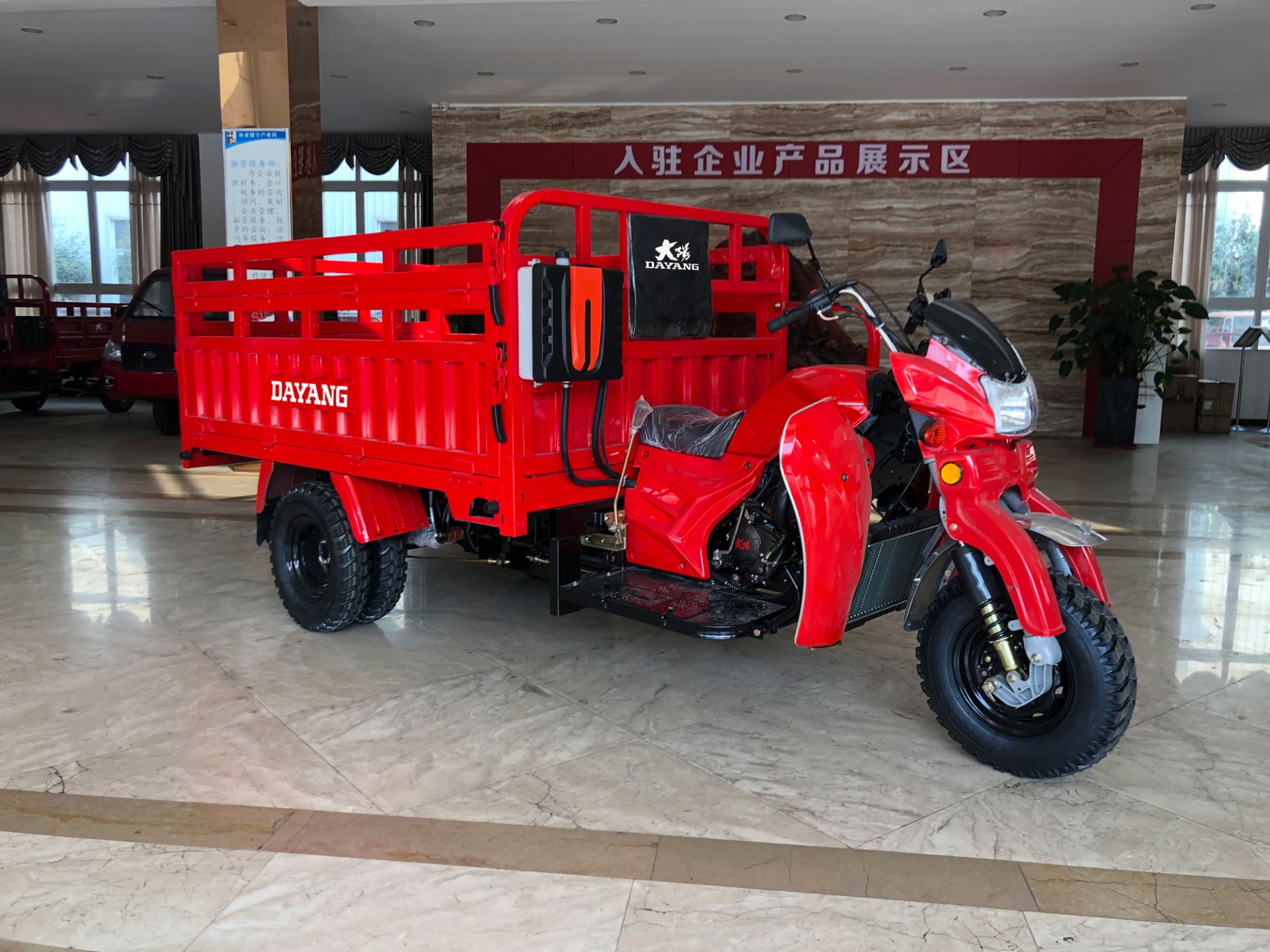 High Cost Performance 250cc DAYANG Cargo Motorized Trike with 800W Power and 9A Battery
