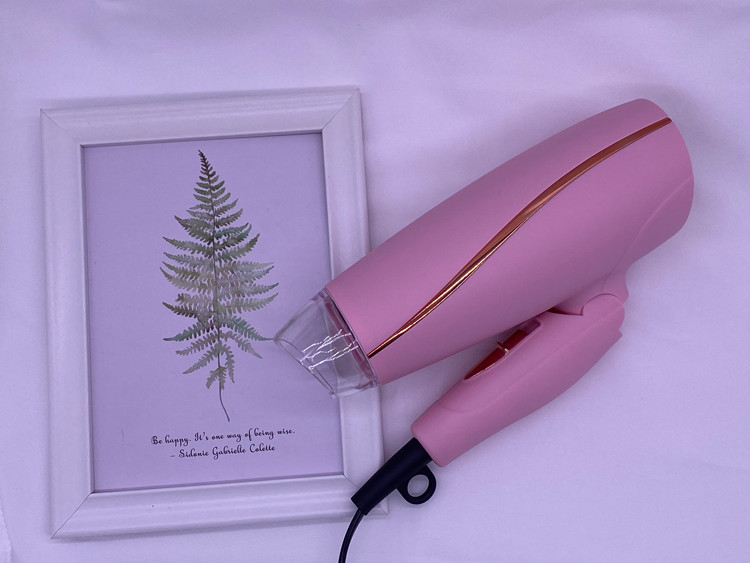 Lightweight 1000w Hair Dryer Compact For Professional Precision Styling
