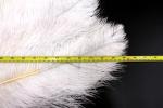 50-55 Cm Party Decoration Ostrich Feather Hand Fan White Purple Hot Item Dyed