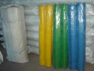 Quality Plastic mosquito window netting ,HDPE window screen wholesale