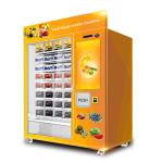 22 Inch Touch Screen Frozen Food Vending Machine For Outdoor 120W