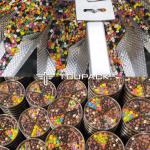 Supplier Automatic Vertical VFFS 100g To 1000g Dried Lemon Pouch Packaging