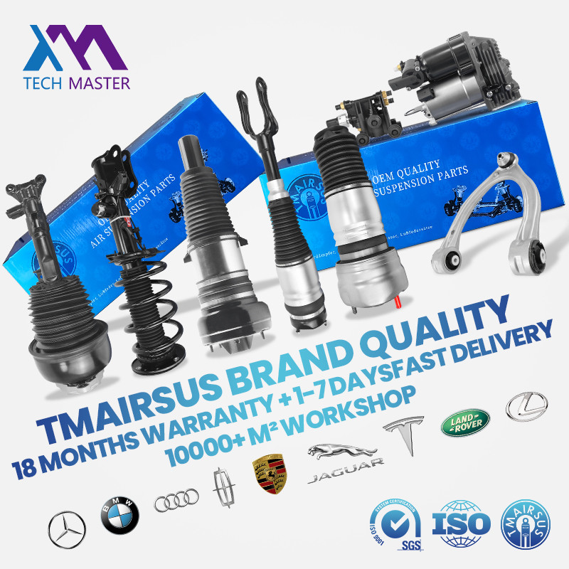 Air Suspension Shock Absorber For Mercedes Benz W167 GLS GLE 1673202301 1673200302 Rear With Ads