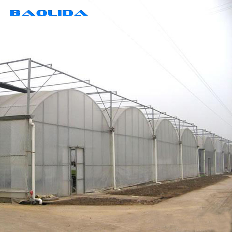 plastic film Hobby Structure Multispan Tunnel Plastic Greenhouse