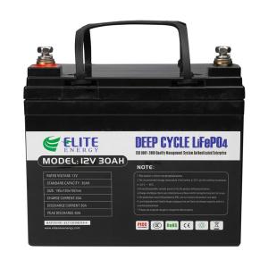 Quality LFP Li Ion Phosphate RV Caravan Lifepo4 Battery 12v 30Ah Deep Cycle wholesale