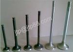 Auto Spare Parts Diesel Engine Valve 6N9915 / 6N9916 Inlet And Exhaust Valves