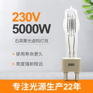 Quality 230V 5000W G38 Stage Quartz Lamp Bulb Studio Entertainment Wedding Bar wholesale