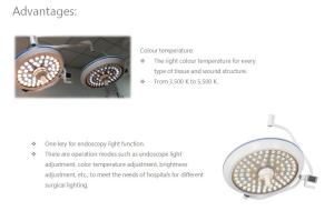 Quality 80W Wall Mounted LED Surgical Light Double Dome 5000k For Operation Room wholesale