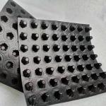 1000mm Drainage Sheet Extrusion Line HDPE Sheet Extrusion Equipment