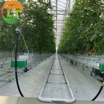 Top Ventilation Glasshouse Greenhouse Sides Top Film Covered