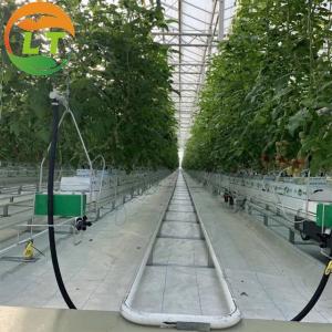 Quality Top Ventilation Glasshouse Greenhouse Sides Top Film Covered wholesale