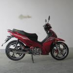 7500RPM CDI Ignition TR135-NF 135CC Cub Motorcycle