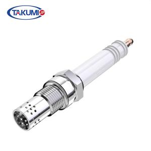 Quality Jenbacher 420 Natural Gas Engine Spark Plugs 347267 347267 401824 462203 wholesale