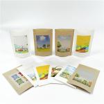 Biodegradable 100mircon VMPET Kraft Paper Packaging Bag