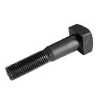 M24 Railway Track Fasteners , OEM Black Square Head Lag Screws 8.8 Grade