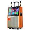 Quality factory prices home karaoke system 10 inch trolley speaker with screen wholesale