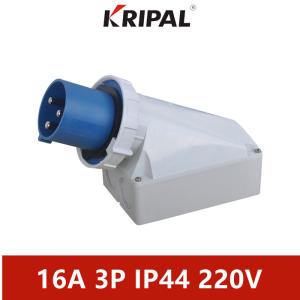 Quality Single Phase 63A 125A IP67 Industrial Electric Wall Mounted Plug wholesale