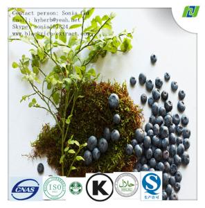Quality Bilberry Extract for eye health wholesale
