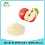 Prevent Vitamin Loss Apple Extract Apple Polyphenols Powder