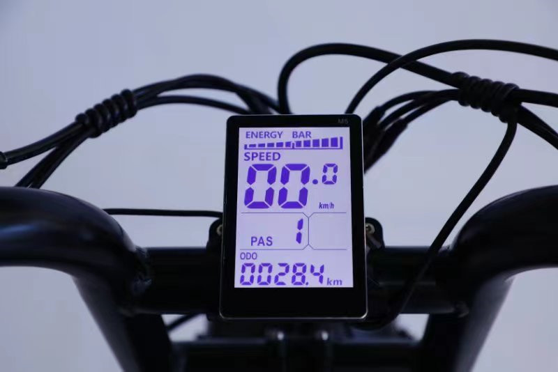 Full Suspension 48V Fat Tire Electric Bike 750W With LCD Display And Rear Hub Motor