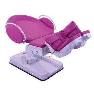 Quality Electric birthing bed wholesale