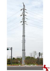 Quality Networking Monopole Communication Towers Pole LDTXT-24308 wholesale