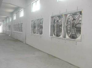 Quality Poultry Fan Motors opens chicken hotel - NorthHusbandry Machinery wholesale