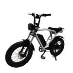 1460*320*840mm REMOVABLE BATTERY Hot E-Bike Fat Tire Mountain Bike Electric