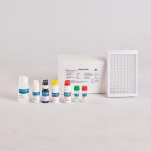 Quality Human aldosterone Elisa Kit / ALD Elisa Kit wholesale