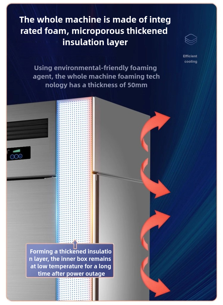 Commercial Vertical Freezer for Kitchen Cooling Large-Capacity Stainless Steel