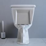 Elongated Compact Ada Toilet 19 Inches Powerful Punch Syphon Standard Height