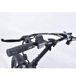 6Speed Fat Wheel Folding Electric Bike , 120KG Load Folding Mountain Ebike