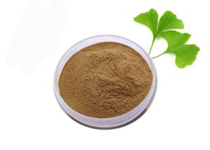 Quality Medical Grade Anti Oxidant Pure Ginkgo Biloba Extract Powder wholesale