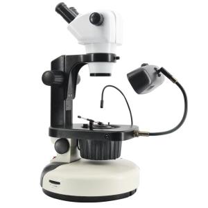 Quality Wide Field Fluorescence Microscopy , 115mm Working Distance Microscope wholesale